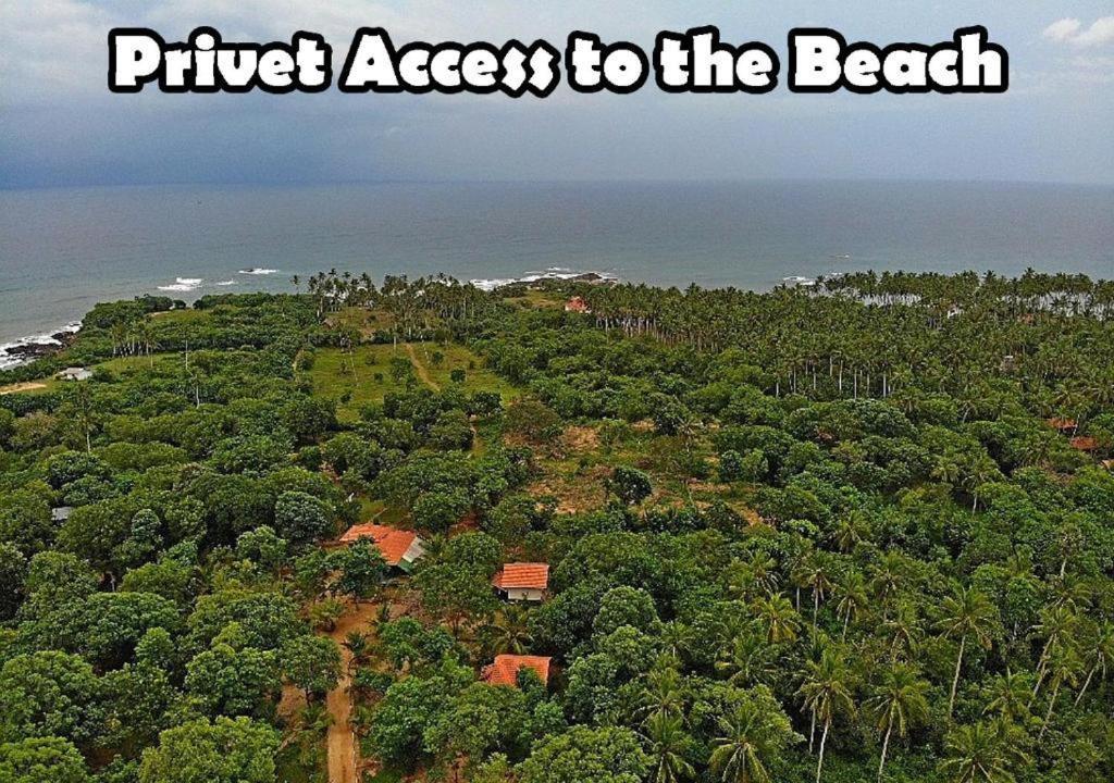 Turtles View Resort Тангалла Экстерьер фото